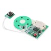 Writeable Sound Chip, Sound Voice Recording Playback Module with Double-Sided