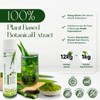 Natural Pandan Extract Liquid Concentrate (200g | 7.05oz) | No