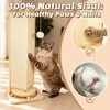 Couch Cat Corner Scratcher with Interactive Ball Toys for Cat,