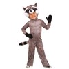 Realistic Toddler Raccoon Costume 4T
