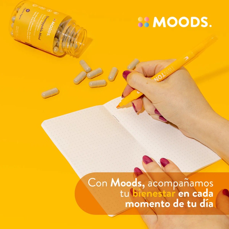 Focus Nootropicos Melena De Leon Bacopin L Glutamina Sabor Sin