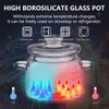 Jjojcll 2.3L(75oz) Glass Cooking Pot with Lid,Handmade Borosilicate Glass Stockpot