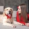 Asvin Velvet Dog Collar - Adjustable Dog Bow Tie Metal