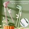 Dinosaur Training Chopsticks,2pcs Chopsticks For Kids ,Reusable Chopsticks Learning Chopstick