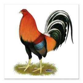 CafePress Gamecock Wheaten Rooster Square Car Magnet 3 Square Car Magnet, Magnetic Bumper Display