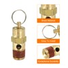 PATIKIL 1/4" Female NPT Safety Valve for Air Compressor Pneumatic