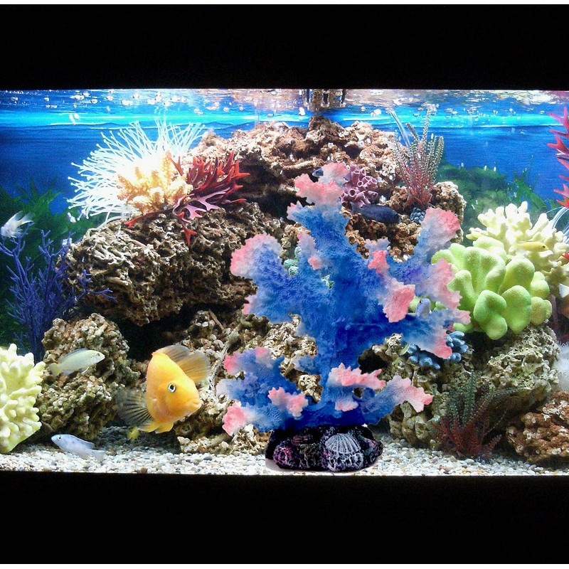 Besimple Aquarium Coral Ornament, Polyresin Coral Decor for Fish Tank