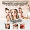 Makeup Mirror,Vanity Mirror with Lights,2X/5X,White