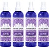 Negative Energy Protection Spray and Aura Cleansing Spray. Empath Protection
