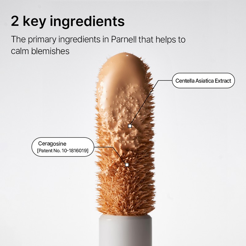 Parnell Cicamanu Skin Fit Cover Concealer - Concealer No. 21