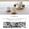 LOLO | White Dobin Teapot | Made in Japan |
