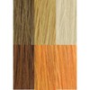 Ensheruzu color butter 200g color treatments (mango orange)
