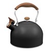 Whistling Tea Kettle for Stovetop, Tea Pots 2.5L Stainless Steel