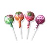 Tree Hugger Bubble Gum Pops in Stand Up Resealable Bags,