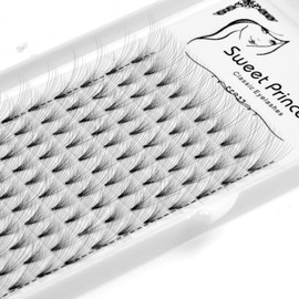 12rows,120pcs 10D Premade Volume Fans Eye Lashes Extensions Thickness 0.07mm D Curl Black Soft Individual False Eyelashes Makeup Fake Lashes Cluster 8-18mm to Choose (15MM)