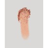 Napoleon Perdis Desert Bloom Eyeshadow Palette