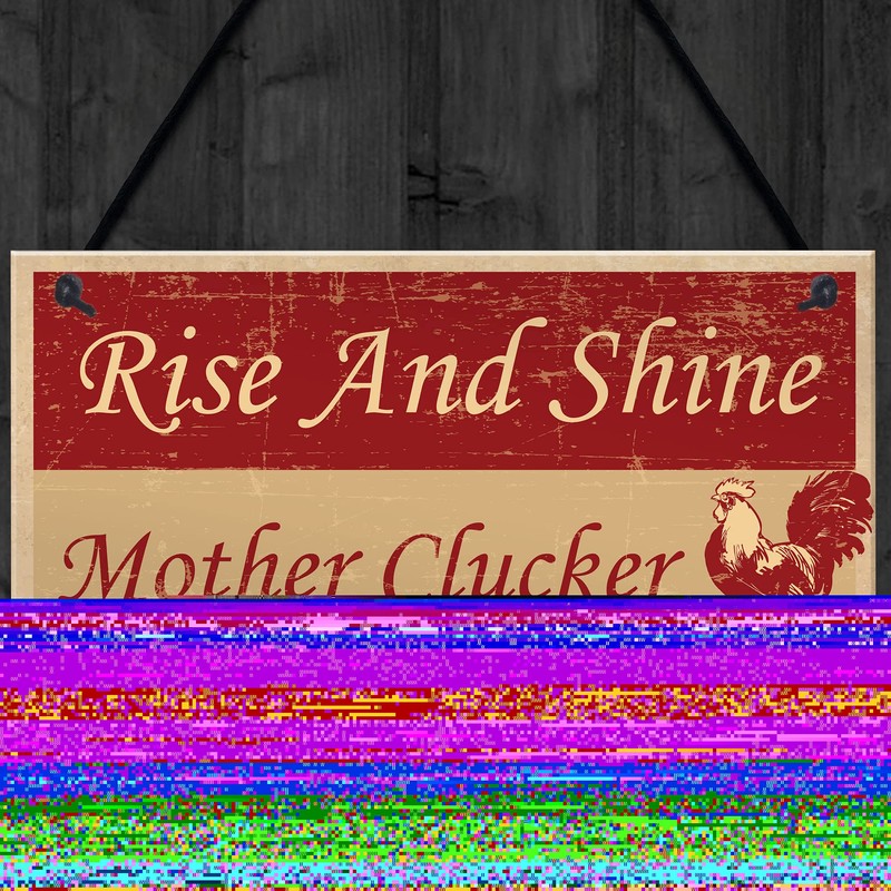 RED OCEAN Funny Chicken Sign For Coop Hen House Garden