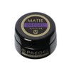 PREGEL マットコートR 4g
