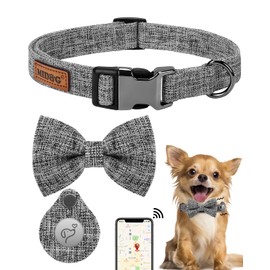 MIDOG AirTag Dog Collar, Fashion Dog Collar for Small Medium Large Dogs with Air Tag Holder Case, Adjustable Training Soft Nylon Air Tag Pet Collar with Quick-Release Metal Buckle (Gray, S,10" - 16")