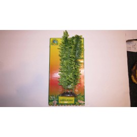 Penn-Plax  REP L160 TERRA-PLANT Boston Fern Rigid Penn Plax Reptile, Aquarium Non-Toxic
