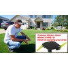 BOSHCHEN ACFHRL2 Polycarbonate Blades Trimmer Head Compatible with Ryobi 18V,