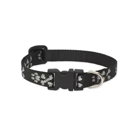 LupinePet Originals 1/2" Bling Bonz 10-16" Adjustable Collar for Small Dogs