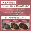 Cielo Color Treatment for Retouching, Natural Brown, 4.9 oz (140