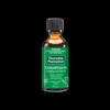 Thursday Plantation Buy Thursday Plantation Eucalyptus Oil 50ml Online | Chempro Chemists