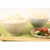 Mino ware Japanese Ceramics Pair Rice Bowl Set of Two