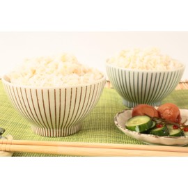 Mino ware Japanese Ceramics Pair Rice Bowl Set of Two Togusa pattern Vertical Stripe made in Japan (Japan Import) GBG001