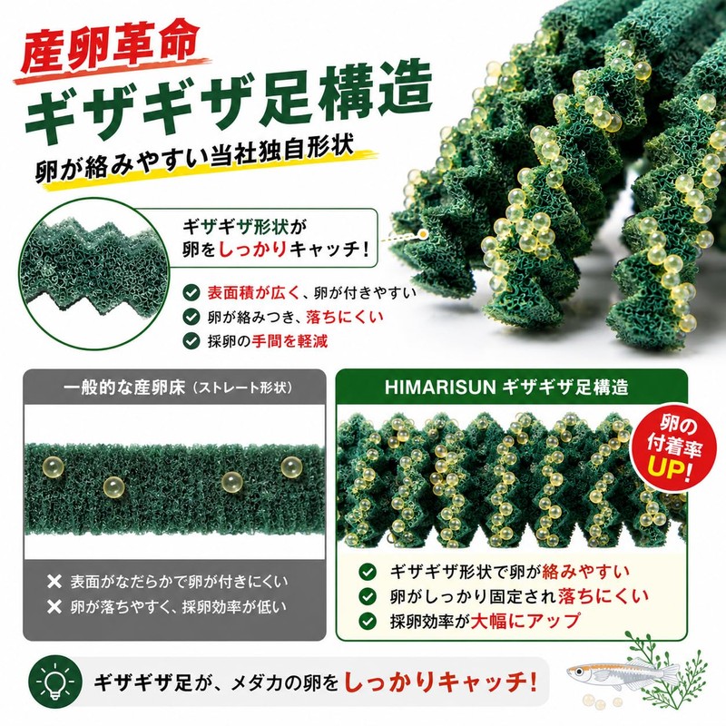 HIMARISUN Japanese Brand, Includes a Safe Guide Book for Removing