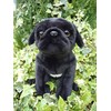 Pug (Black) Soft Toy 12"