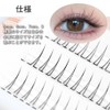 ISHR Lower Eyelashes, Partial False Eyelashes, V Shape, Lower False