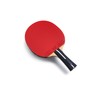Butterfly Ovtcharov Prime C Table Tennis Bat, Professional Carbon Bat