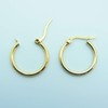 18k yellow Gold plated huggie hoop 20mm sleeper earrings Non-allergenic