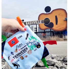 Baby Jack & Co 8x8” Learning Lovey Tag Toys for Babies - Baby Crinkle Toys - Crinkle Toys for Baby - Soft & Safe - Learn USA State Facts - Ideal Baby Toy BPA Free w/Stroller Clip (Tennesee_8x8)