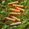Burt's Bees Moisturizing Lip Balm 4.25g (Select 1 of 8) - Beeswax Lip Balm with Vitamin E & Peppermint / 버츠비 모이스춰라이징 립 밤 4.25g 8종 중 택1 - 비즈왁스 립 밤 위드 비타민E&페퍼민트