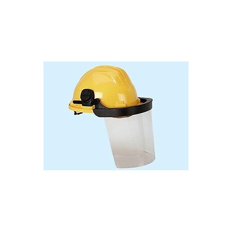Professional Helmet with Face Protection Construction Helmet Safety Helmet Forest
