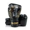 Fairtex Glory Kickboxing Gloves - Limited Edition (Black/Gold - BGVG3,