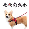 Pet Ground Dog Harness Cute, Stylish, Torso for Walks, Small