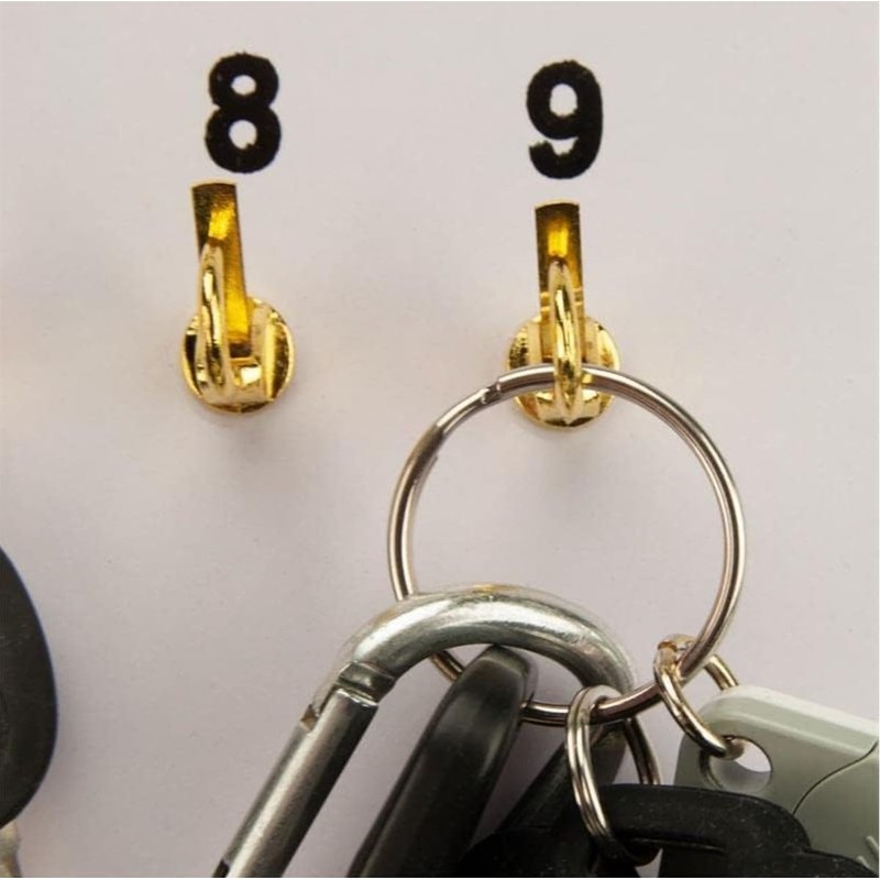 CGP Products 38 Hook Key Holder Wall Mount for Office,