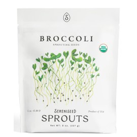Organic Broccoli Sprout Seeds (8 oz) – Non-GMO, Heirloom Seeds for Sprouting and Microgreens