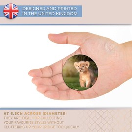 Destination Vinyl ltd Magnet for Refrigerator, Fridge - Cute Baby Lion Cub Cat for Office, Cabinet and Whiteboard, Magnetic Stickers, 15785