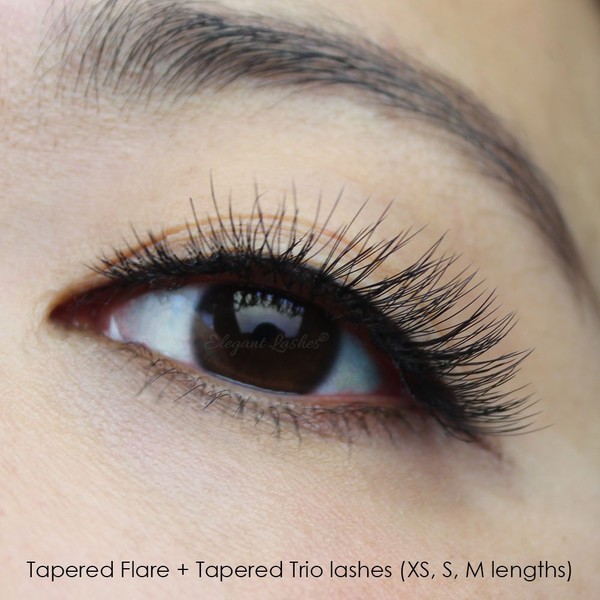 Elegant Lashes Tapered Flare Short Black Individual Eyelashes (Single Pack - 1 Tray)