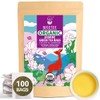 WT WEETEE Organic Jasmine Green Tea Bags, Organic Jasmine Scented