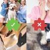 2 Pcs Cat & Dog Grooming Glove - Efficient Pet