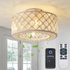 18 Inch Caged Ceiling Fans with Lights, Low Profile Ceiling