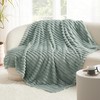 Bedsure Super Soft Home Decor Throw Blanket - Fuzzy Sage
