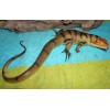 Tegu Lizard Replica - Brown - AAA Realistic PVC