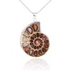 BOBEINI Natural Ammonite Fossil Pendant Jewellery Clay Silver Ammonite Fossil